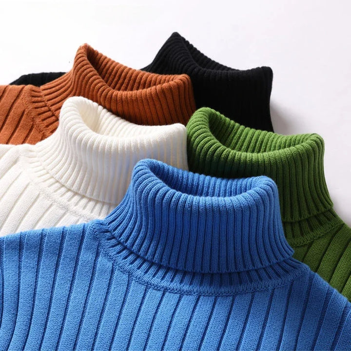 Bagachi Polo Turtleneck Sweater